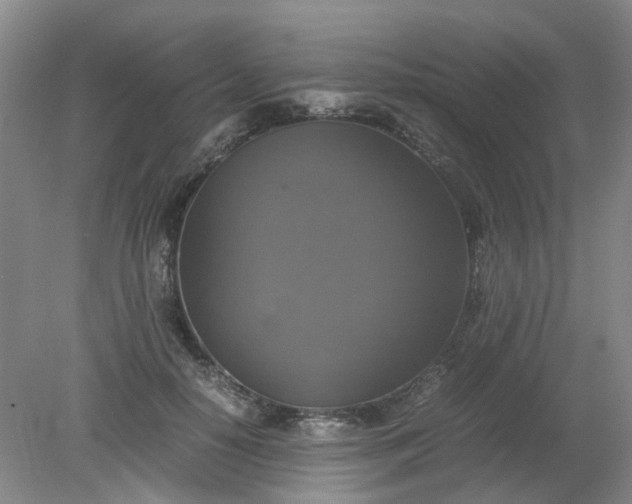 X0000079320650200612011843