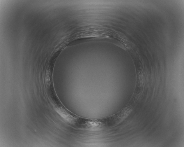 X0000079320654200612011843