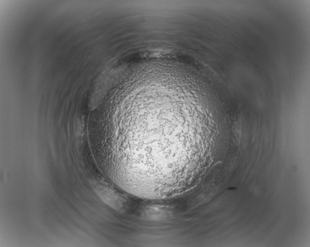 X0000079320657200612011843