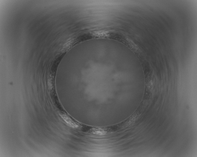 X0000079320658200612011843