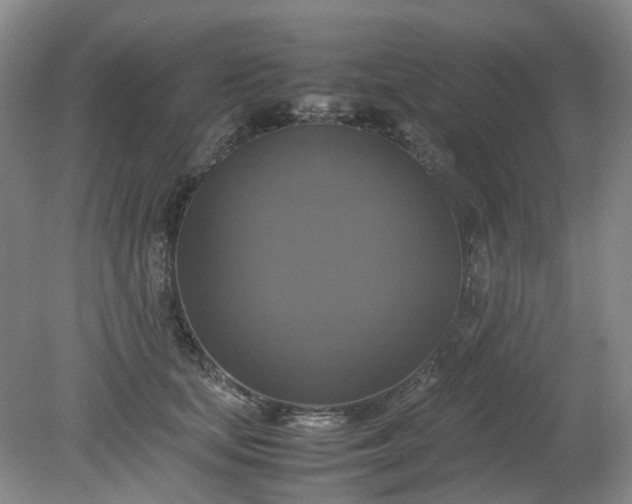 X0000079320659200612011843