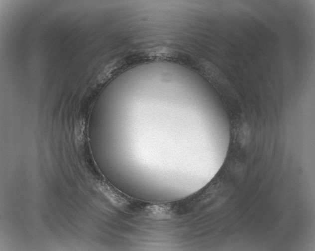 X0000079320660200612011843