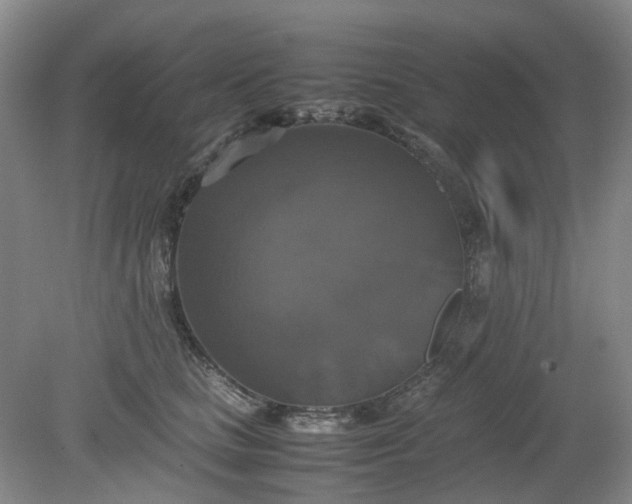 X0000079320661200612011843