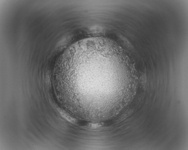 X0000079320662200612011843