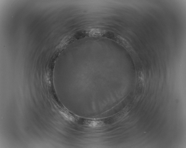 X0000079320663200612011843