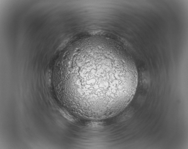 X0000079320664200612011843