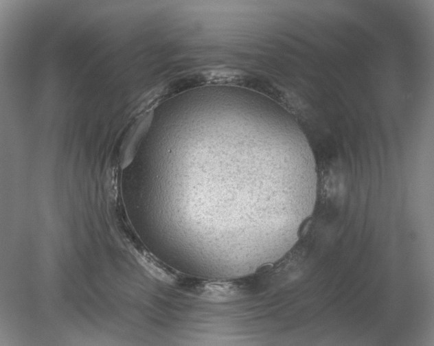 X0000079320666200612011843