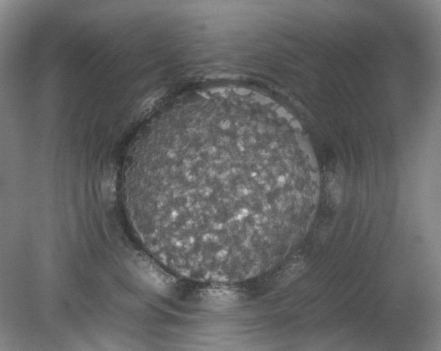 X0000079320668200612011843