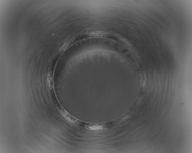 X0000079320669200612011843