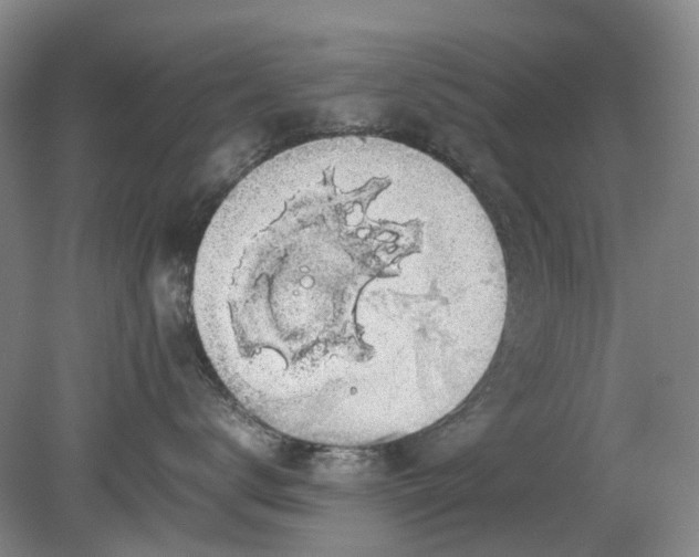 X0000079320672200612011844