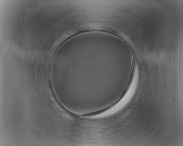 X0000079320673200612011843