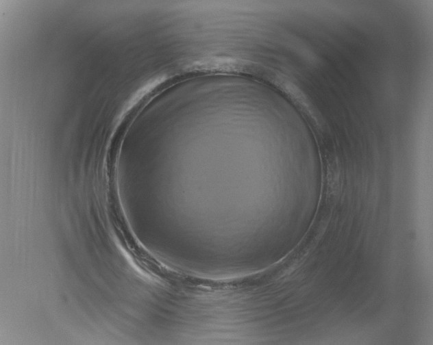 X0000079320674200612011843