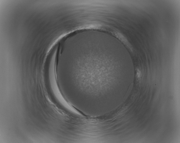 X0000079320676200612011843