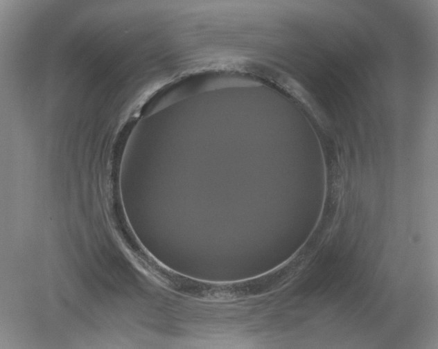 X0000079320677200612011843