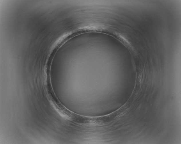 X0000079320678200612011843