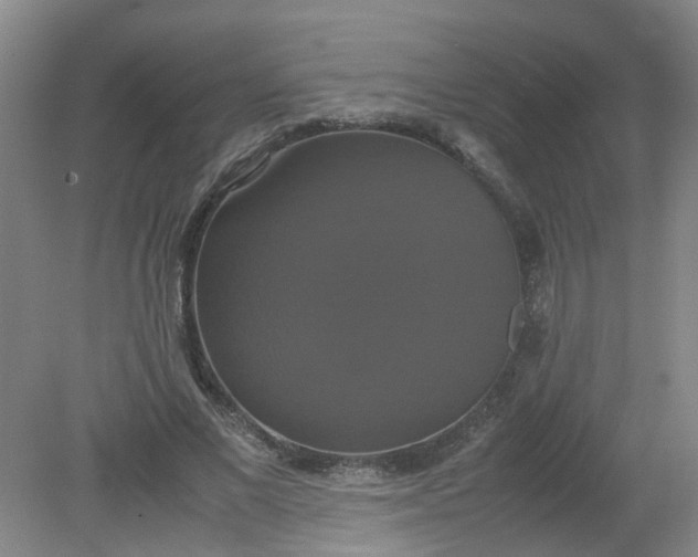 X0000079320685200612011843