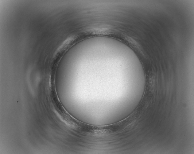 X0000079320686200612011842