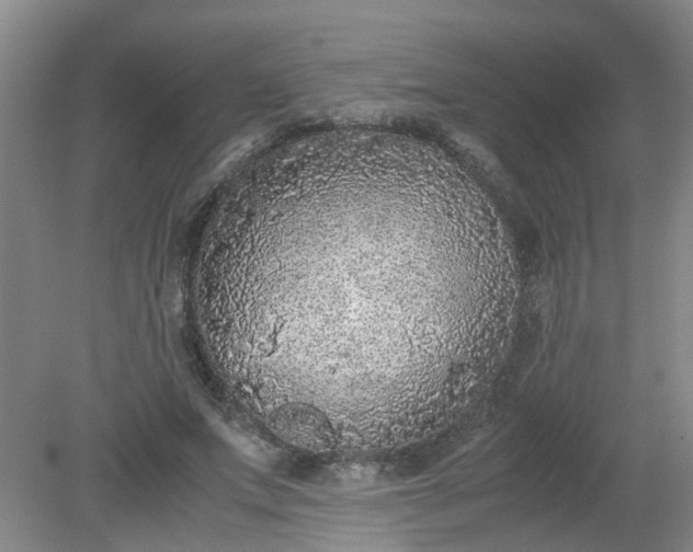 X0000079320687200612011842