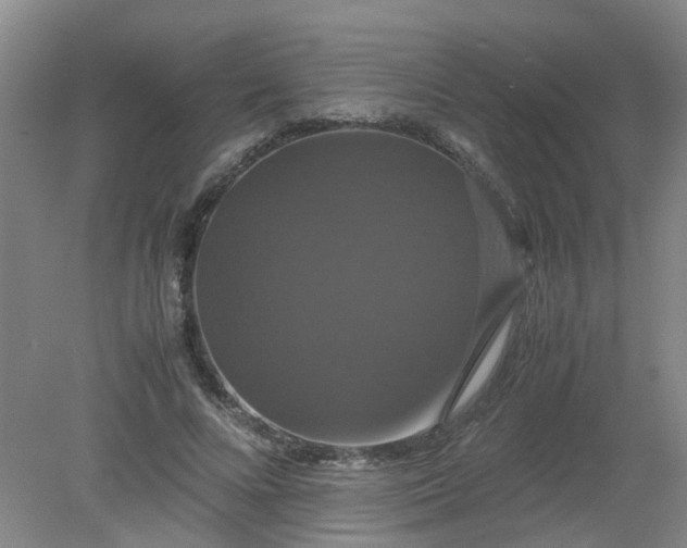 X0000079320688200612011842