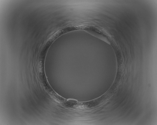 X0000079320689200612011842