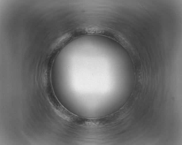 X0000079320690200612011842