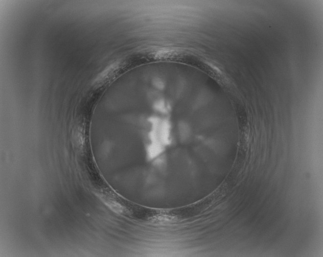 X0000079320691200612011842