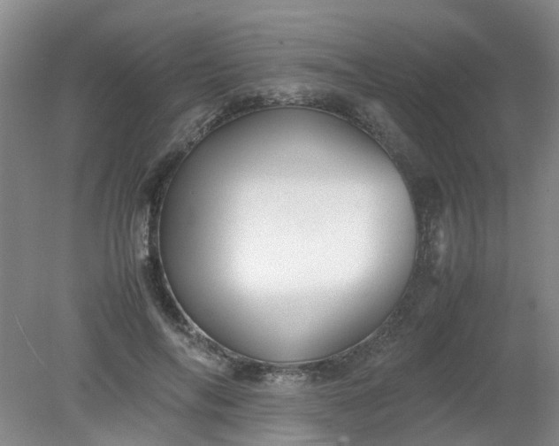 X0000079320694200612011842