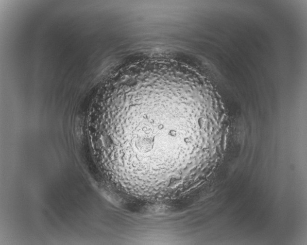 X0000079320695200612011842