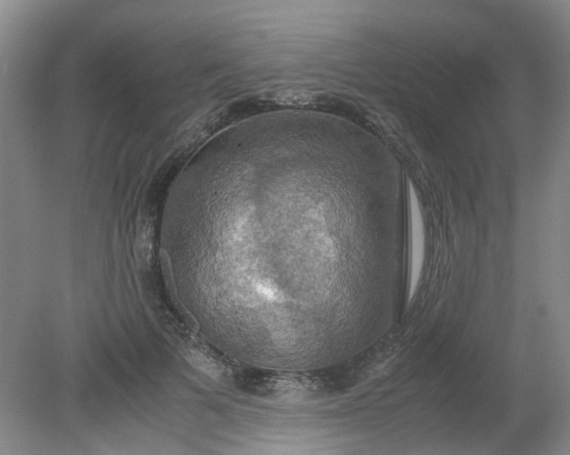 X0000079320697200612011842