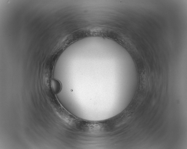 X0000079320698200612011842