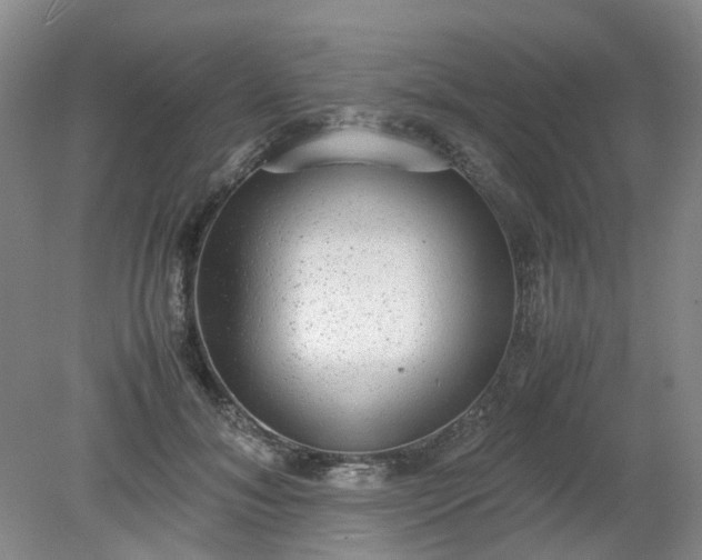 X0000079320700200612011842