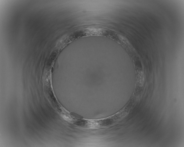 X0000079320701200612011842