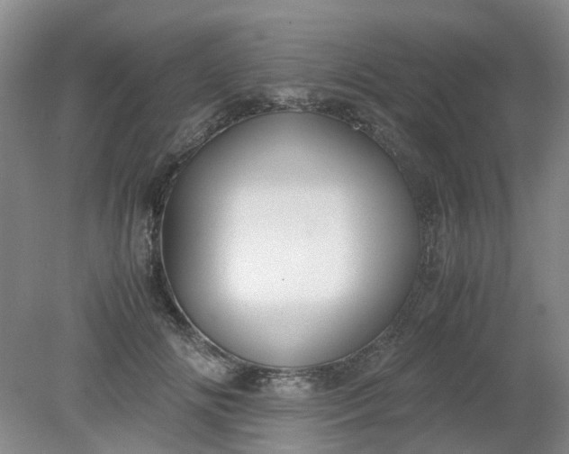 X0000079320702200612011842