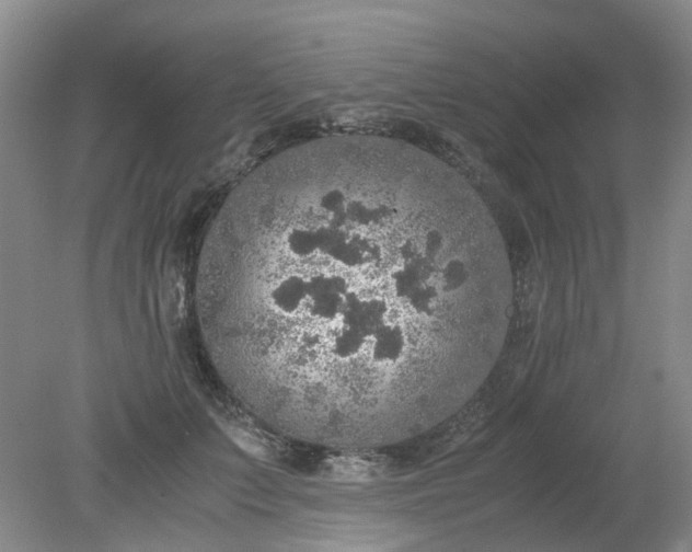 X0000079320703200612011842