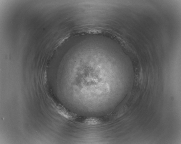 X0000079320704200612011842