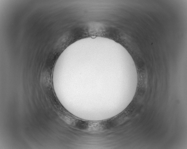 X0000079320705200612011842