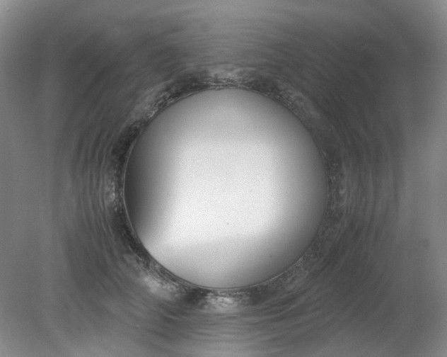 X0000079320706200612011842