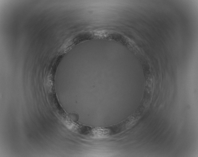 X0000079320707200612011842