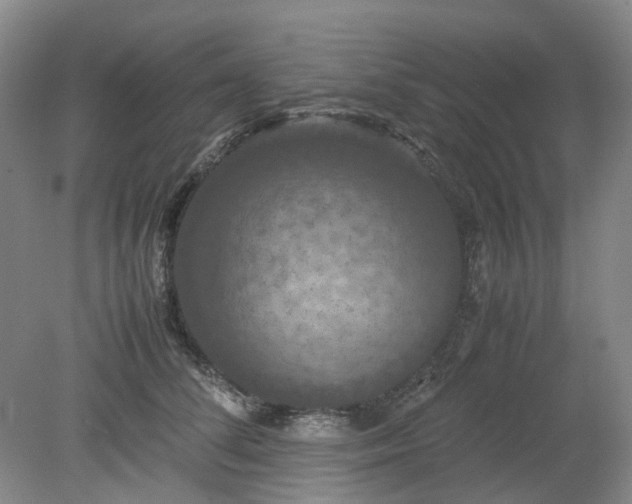 X0000079320708200612011842