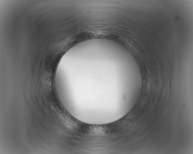 X0000079320710200612011842