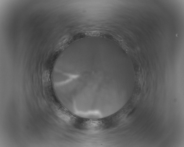 X0000079320711200612011842