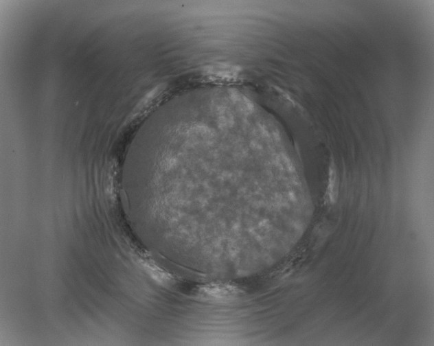 X0000079320712200612011842