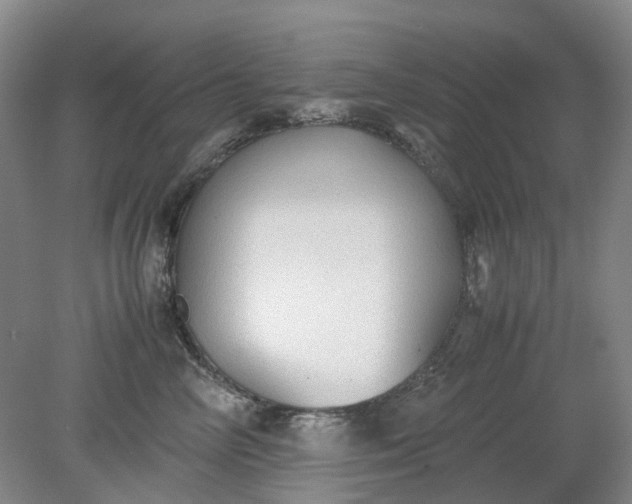 X0000079320714200612011842