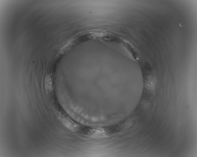 X0000079320715200612011842