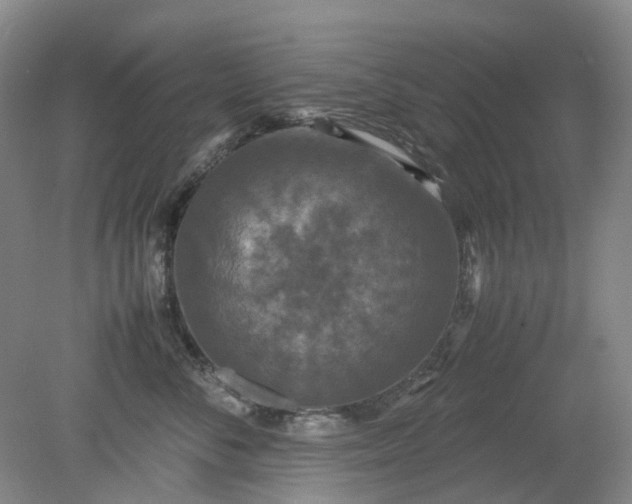 X0000079320716200612011842