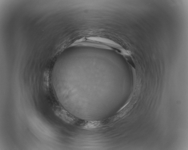 X0000079320720200612011842