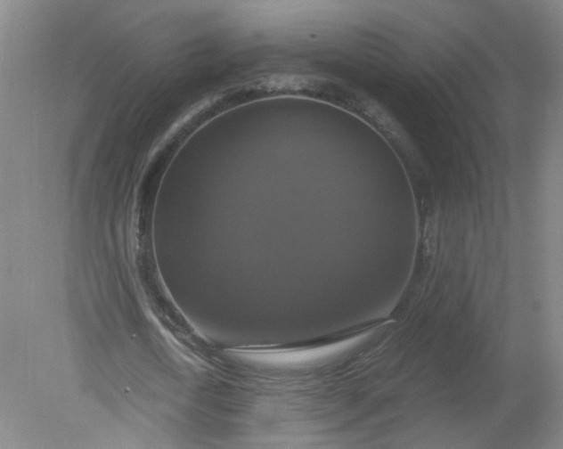 X0000079320722200612011841