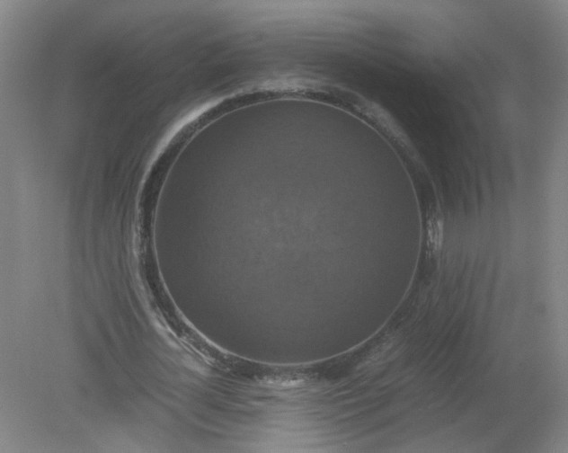 X0000079320724200612011841