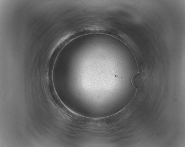 X0000079320727200612011841