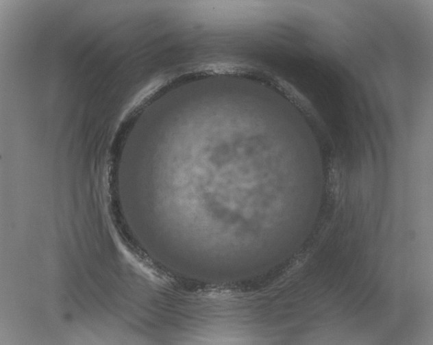 X0000079320730200612011841